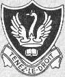 Farnborough Badge