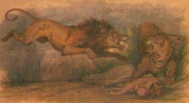 Plank Painting Of Lion & Tiger