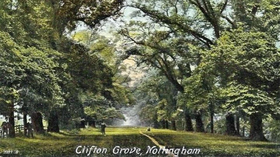 Clifton Grove